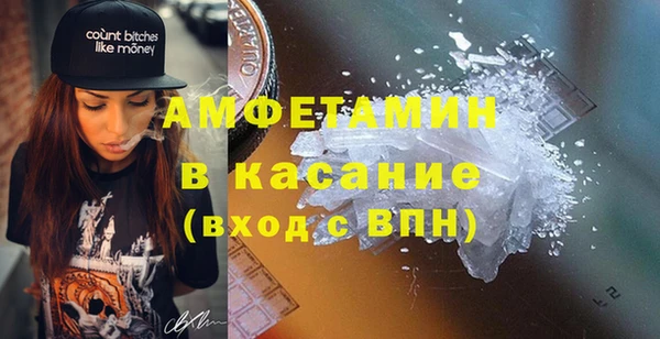 ПСИЛОЦИБИНОВЫЕ ГРИБЫ Вязники