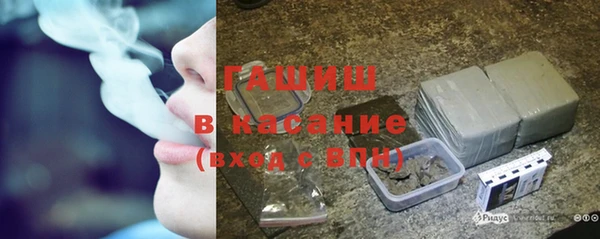 ПСИЛОЦИБИНОВЫЕ ГРИБЫ Вязники